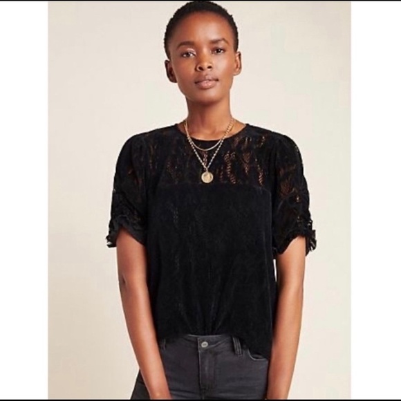 Anthropologie Parvati Velvet Lace Puffed Sleeve Blouse - Picture 1 of 7